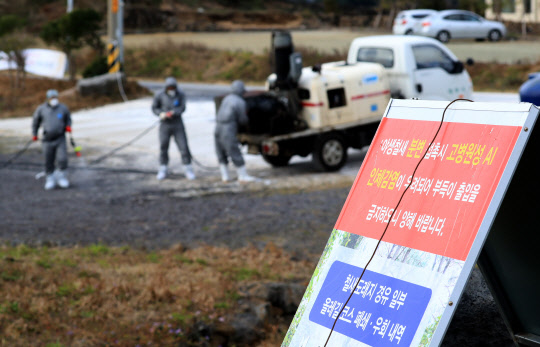 '총력 차단'  제주시 관계자들이 11일 오전 제주시 구좌읍 하도리 철새도래지에서 분변 밀집지를 대상으로 긴급 AI 차단방역을 하고 있다.       이곳 야생조류 분변에서 검출된 조류인플루엔자(AI) 바이러스가 10일 고병원성 'H5N6'형으로 판정돼 방역당국에 비상이 걸렸다. 2017.1.11